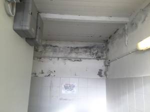 thumb_IMG_8082_1024