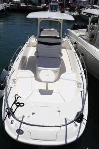 boston whaler