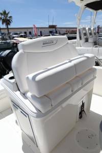 boston whaler dettaglio