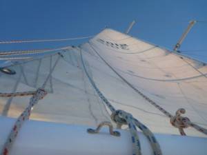 p1000578_scale