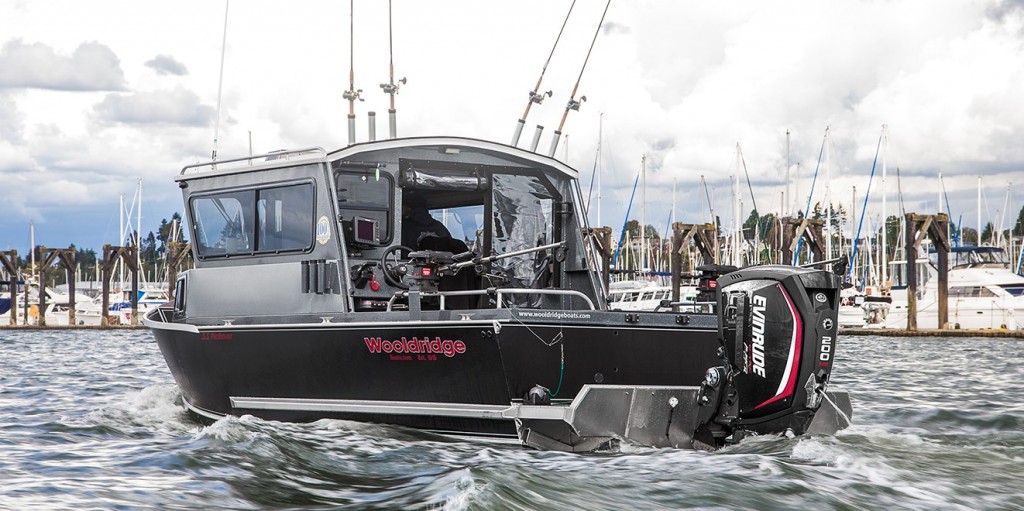 evinrude 200