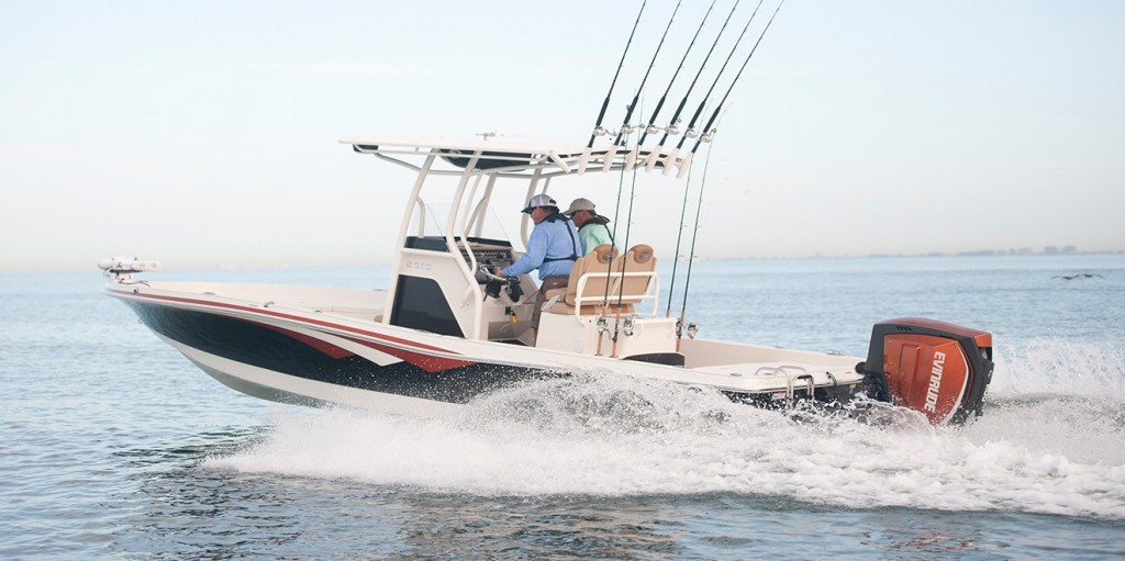 evinrude 300