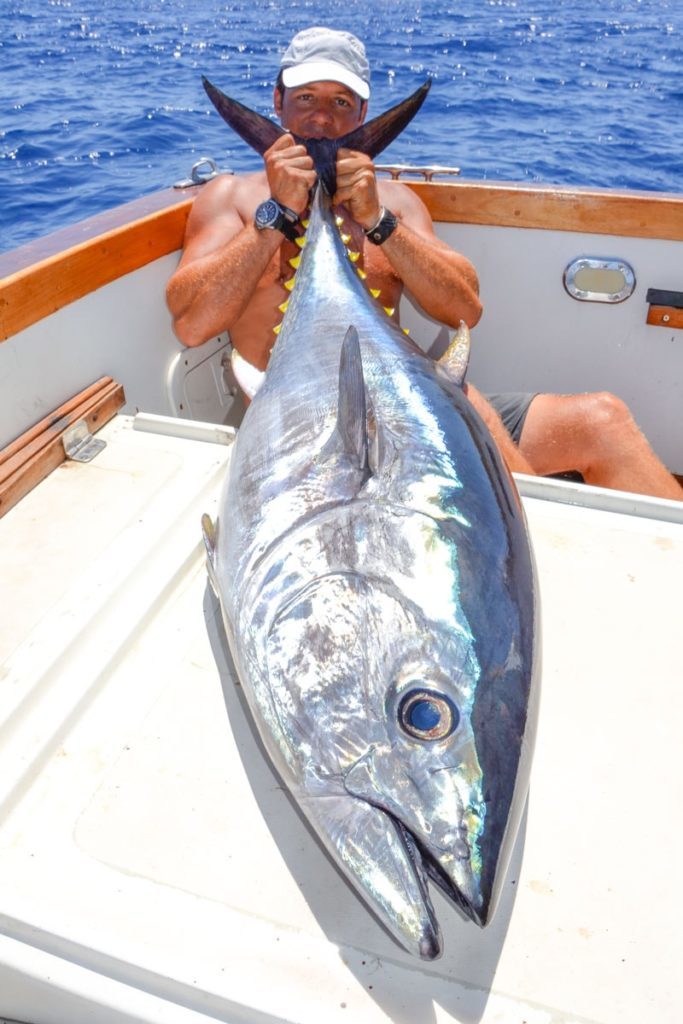 Pesca al tonno