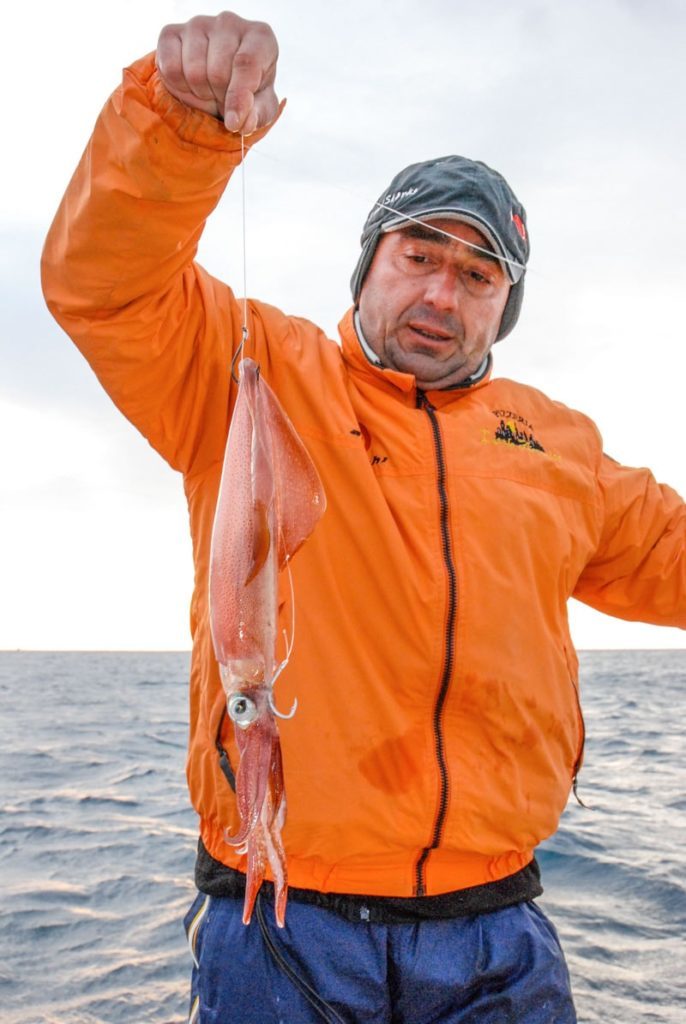 Pesca ricciola esche calamaro