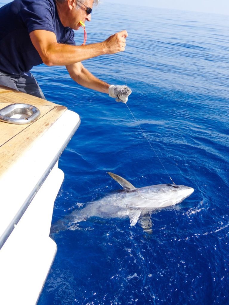 pesca al tonno