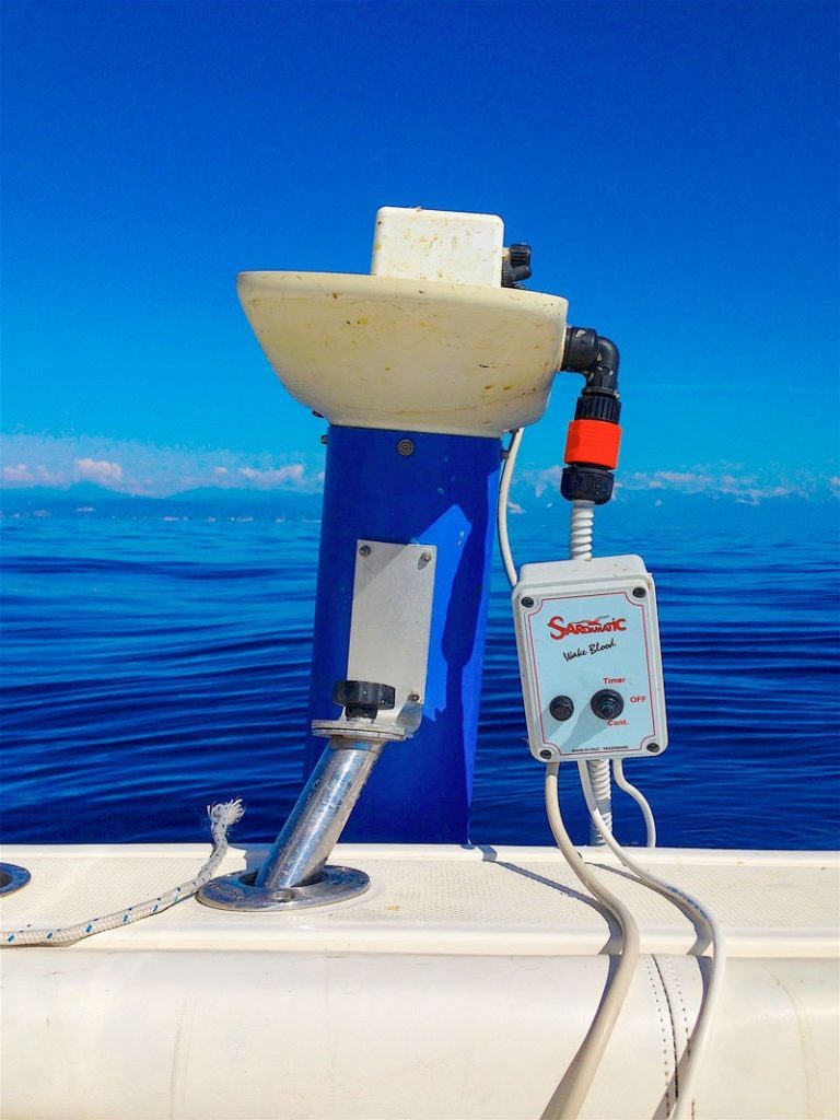 Tritasardine pesca al tonno