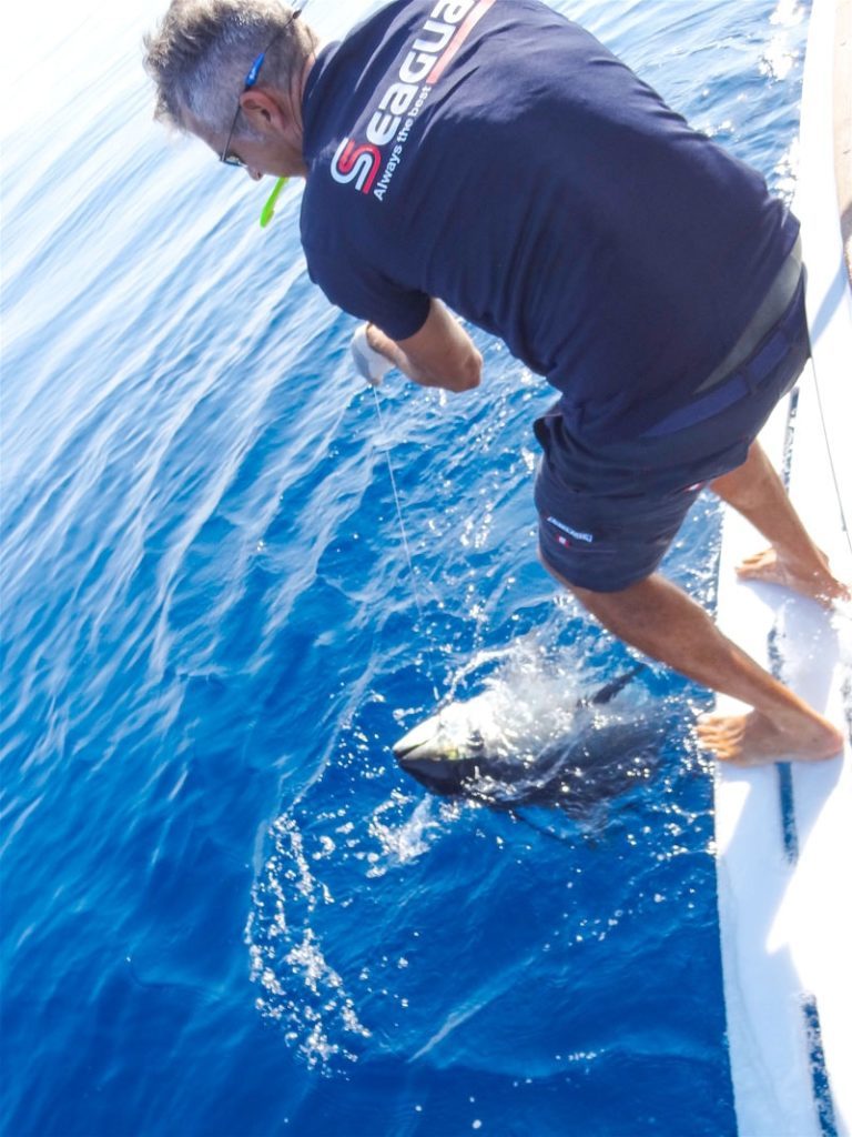 pesca tonno rosso scarroccio