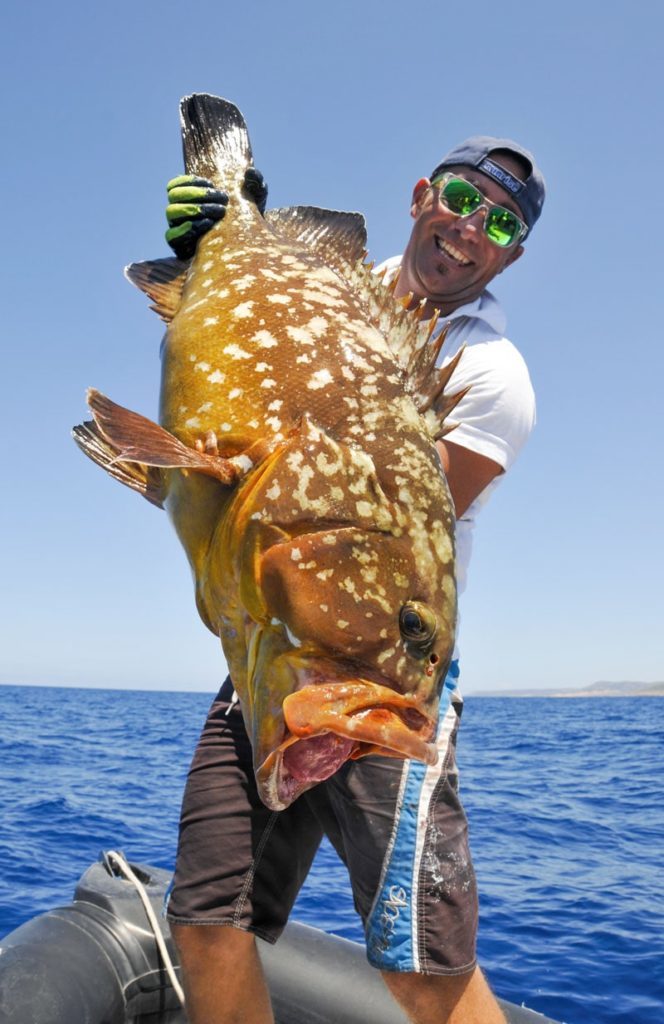 pesca cernia bruna