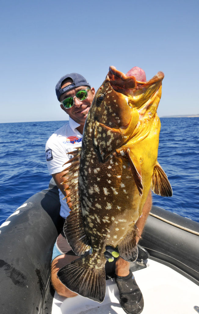 pesca cernia bruna