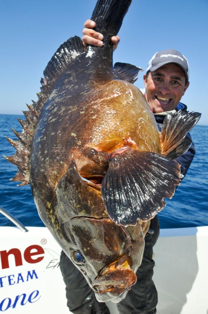 pesca grande cernia bruna