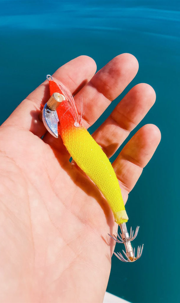 pesca seppia esca