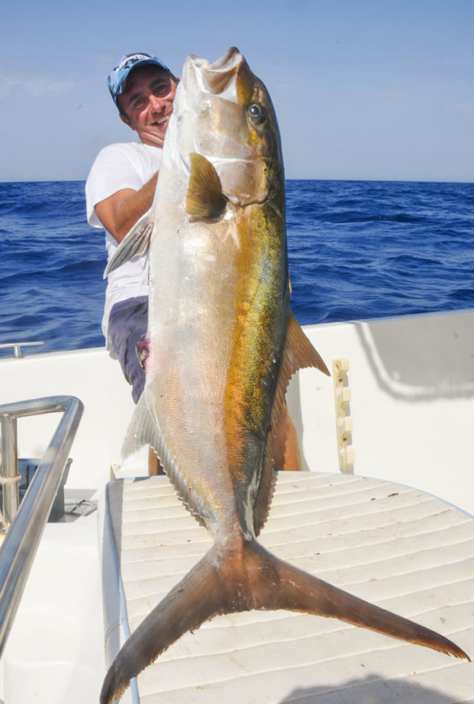 pesca alla traina ricciola
