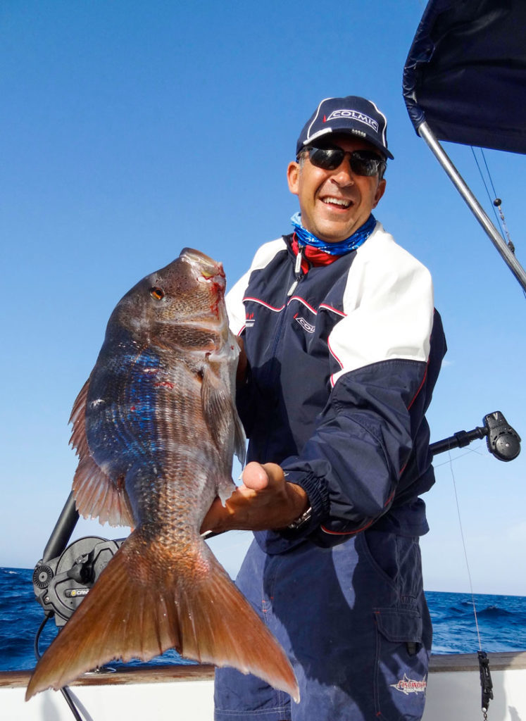 Downrigger cattura a traina