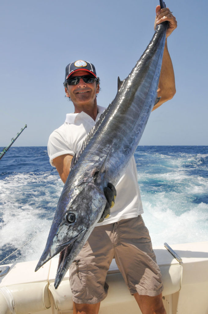 Pesca al Merlin alla guaira bank