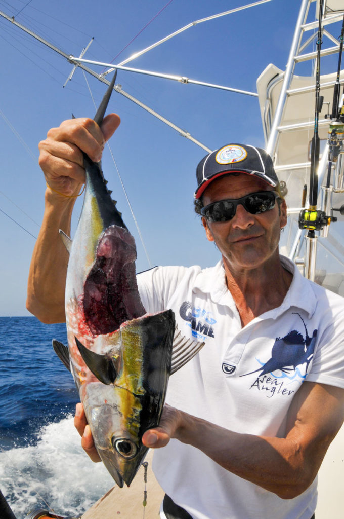 Pesca al Marlin preda attaccata da uno squalo