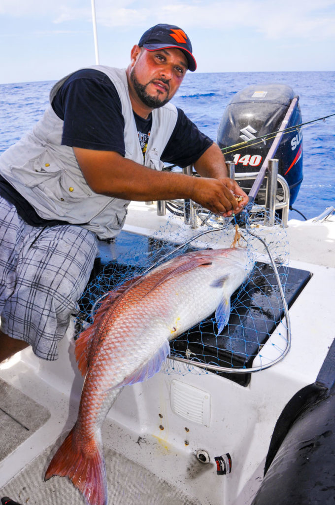 Dentice corazziere pesca
