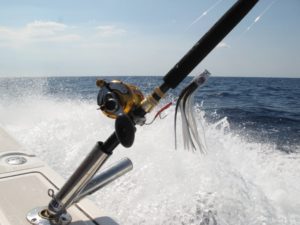 traina d'altura ai tonni regole canna a traina