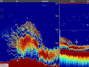 CP 470 di Raymarine
