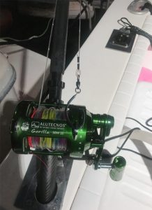 tonni giganti canna da pesca