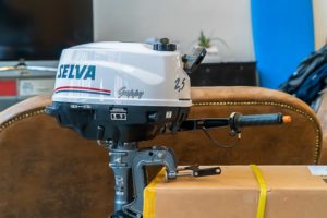 Selva Guppy 2,5