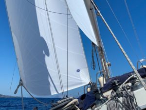 genoa be1 sails