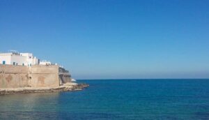 odissea monopoli