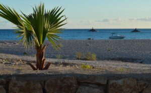 himare
