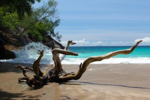 Grand Anse