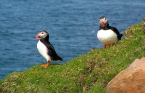 itinerari in barca Isole Faroe Mykines