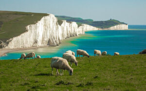 Seven Sisters Cliffs