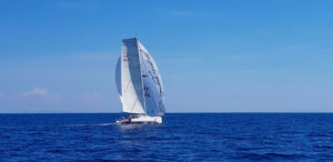 Eco40