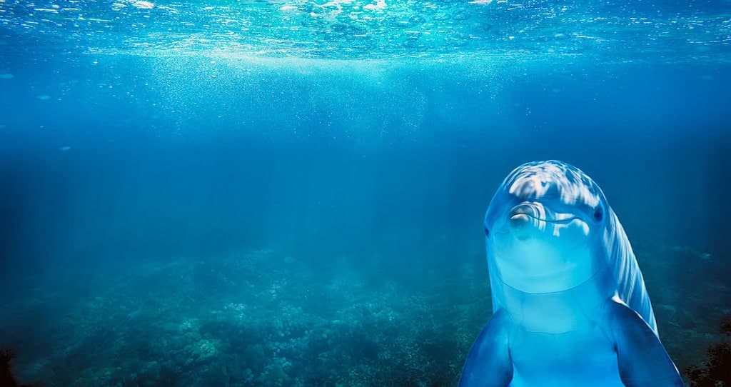 Il mare è in mostra al Marina di Varazze