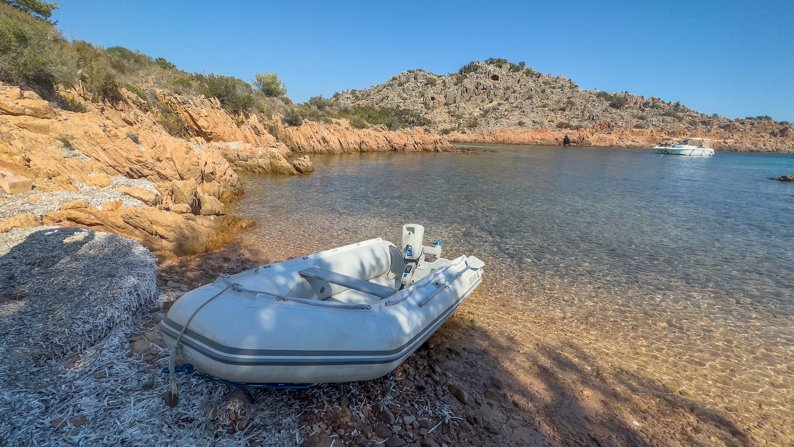 Tender Selva 320 VIB in rada