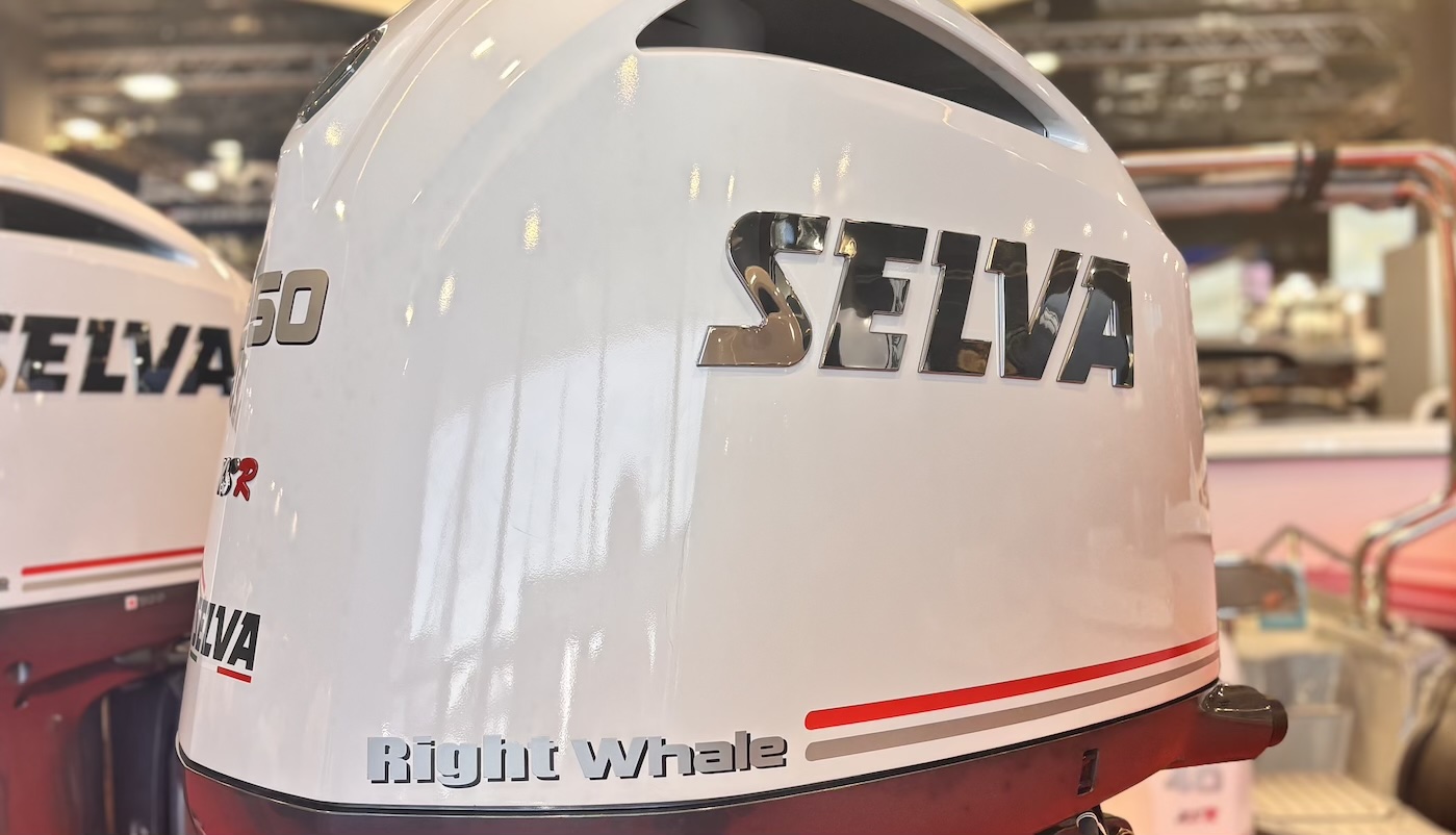 Right Whale 250 XSR