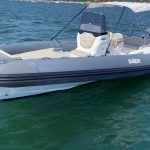Salpa Soleil 23