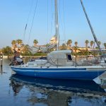 Artmare Cat 32