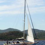 Sciarrelli Magoo 42