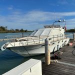 Baia Dorado 40